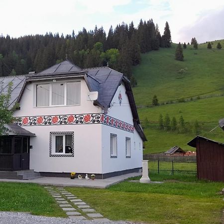 Casa Dumitru Si Elena Ciocanesti Bucovina Esterno foto