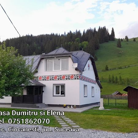 Casa Dumitru Si Elena Ciocanesti Bucovina Camera foto