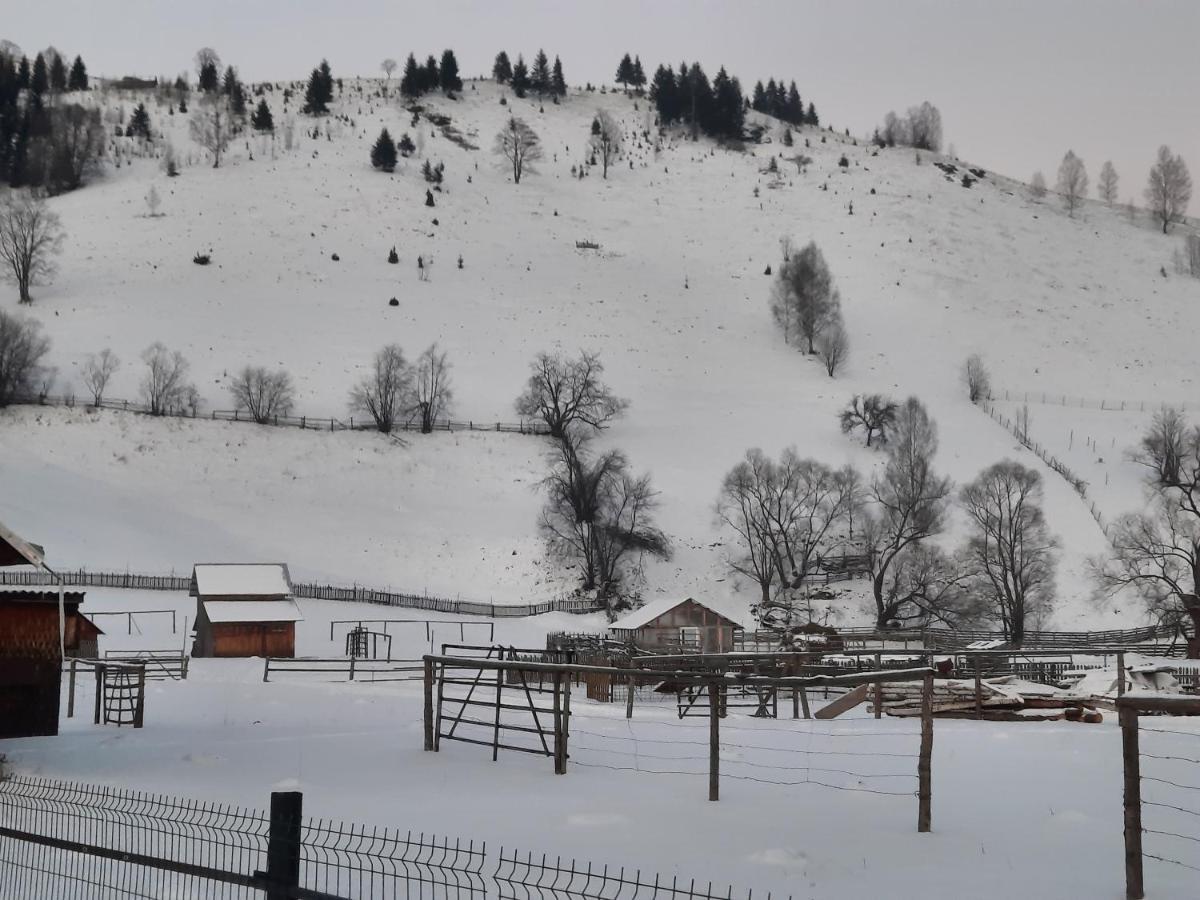 Casa Dumitru Si Elena Ciocanesti Bucovina Esterno foto