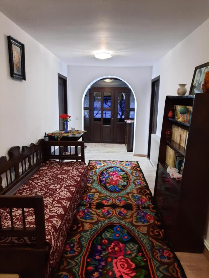 Casa Dumitru Si Elena Ciocanesti Bucovina Esterno foto