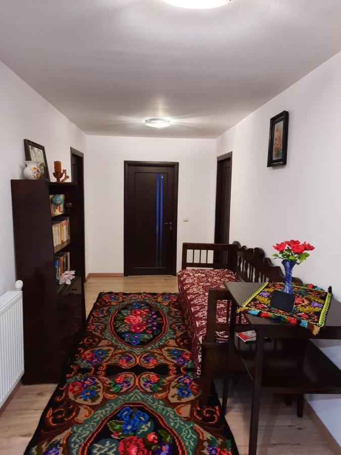Casa Dumitru Si Elena Ciocanesti Bucovina Esterno foto