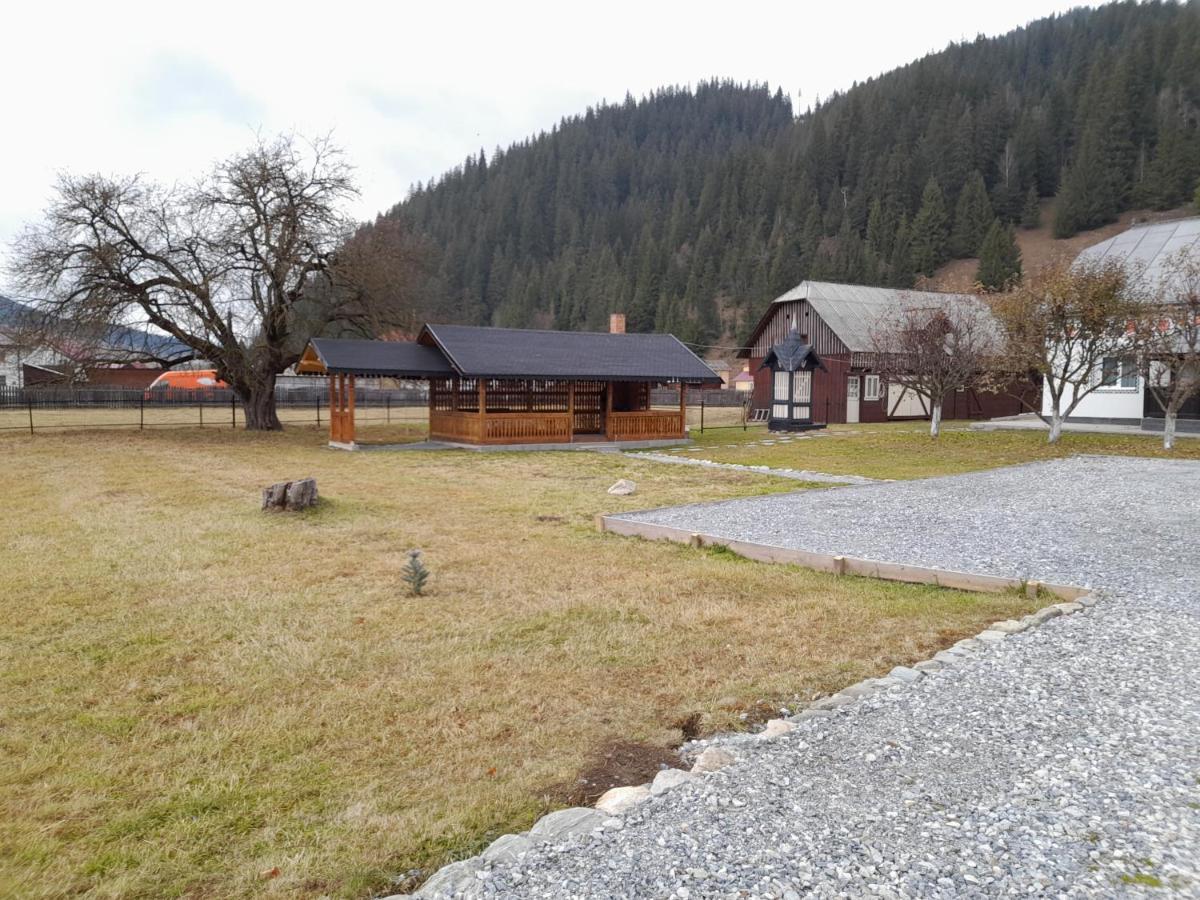 Casa Dumitru Si Elena Ciocanesti Bucovina Esterno foto