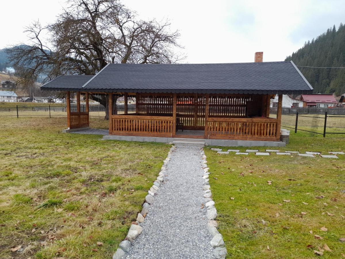 Casa Dumitru Si Elena Ciocanesti Bucovina Esterno foto