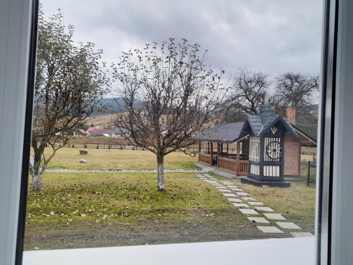 Casa Dumitru Si Elena Ciocanesti Bucovina Esterno foto