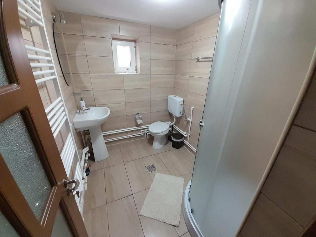 Casa Dumitru Si Elena Ciocanesti Bucovina Esterno foto
