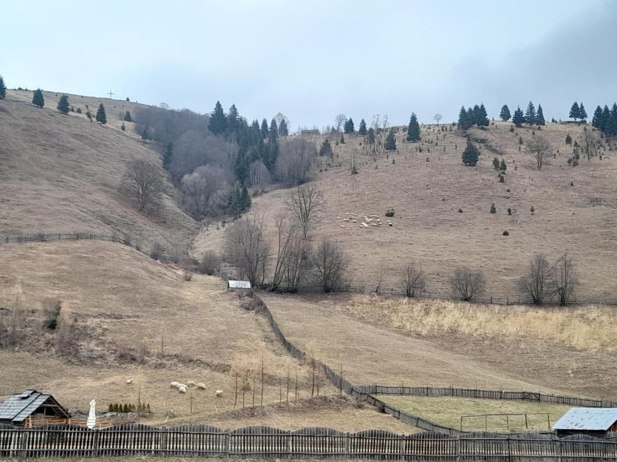 Casa Dumitru Si Elena Ciocanesti Bucovina Esterno foto