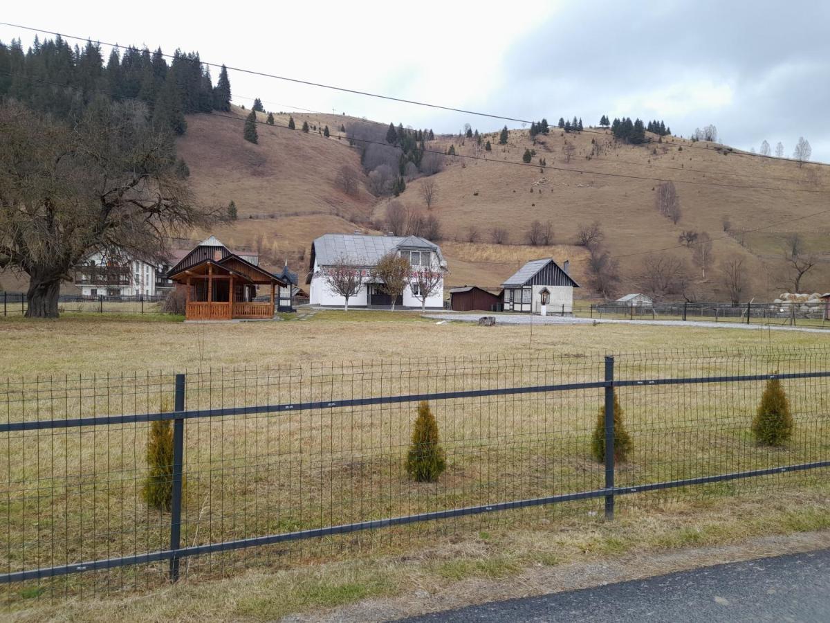 Casa Dumitru Si Elena Ciocanesti Bucovina Esterno foto