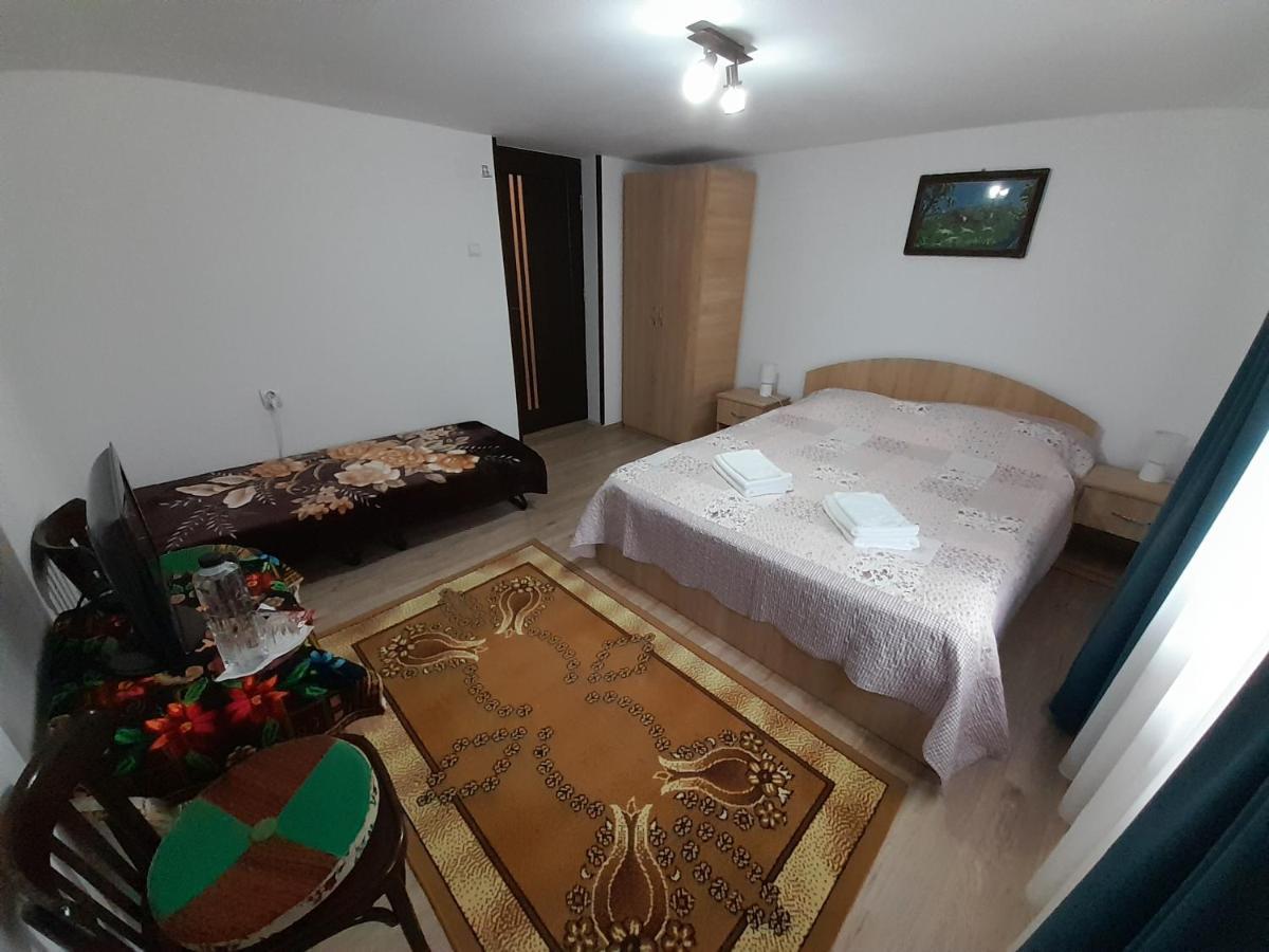 Casa Dumitru Si Elena Ciocanesti Bucovina Esterno foto