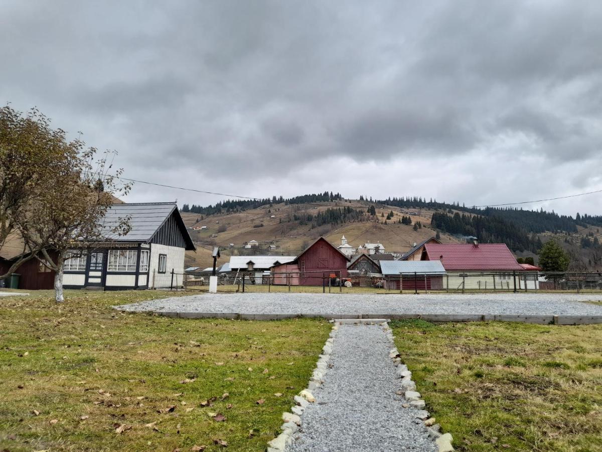 Casa Dumitru Si Elena Ciocanesti Bucovina Esterno foto