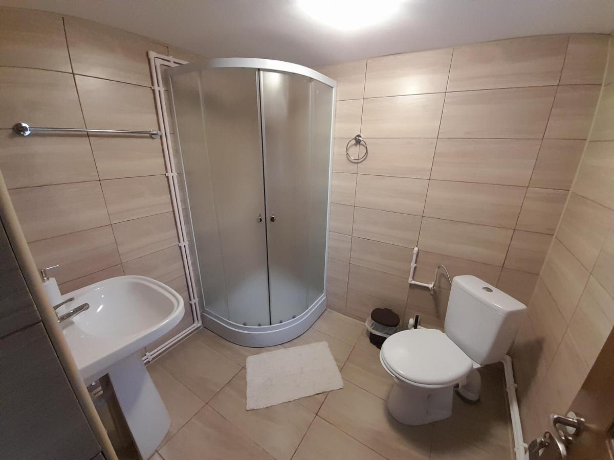 Casa Dumitru Si Elena Ciocanesti Bucovina Esterno foto