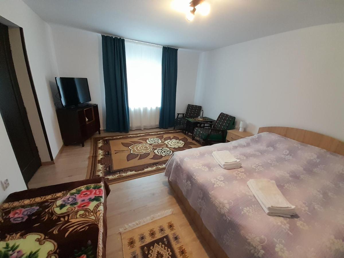 Casa Dumitru Si Elena Ciocanesti Bucovina Esterno foto