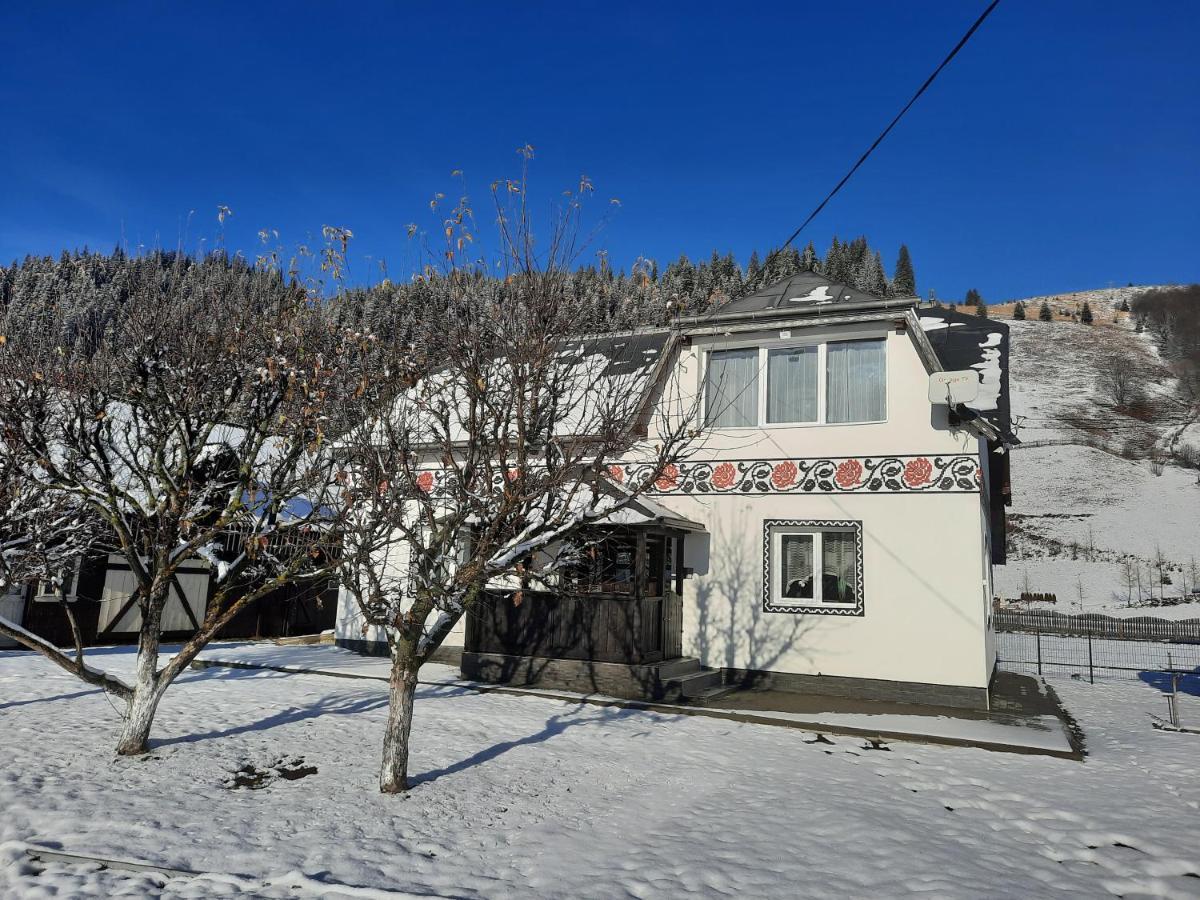 Casa Dumitru Si Elena Ciocanesti Bucovina Esterno foto