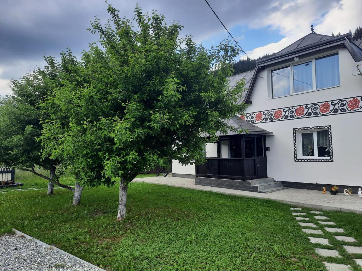 Casa Dumitru Si Elena Ciocanesti Bucovina Esterno foto