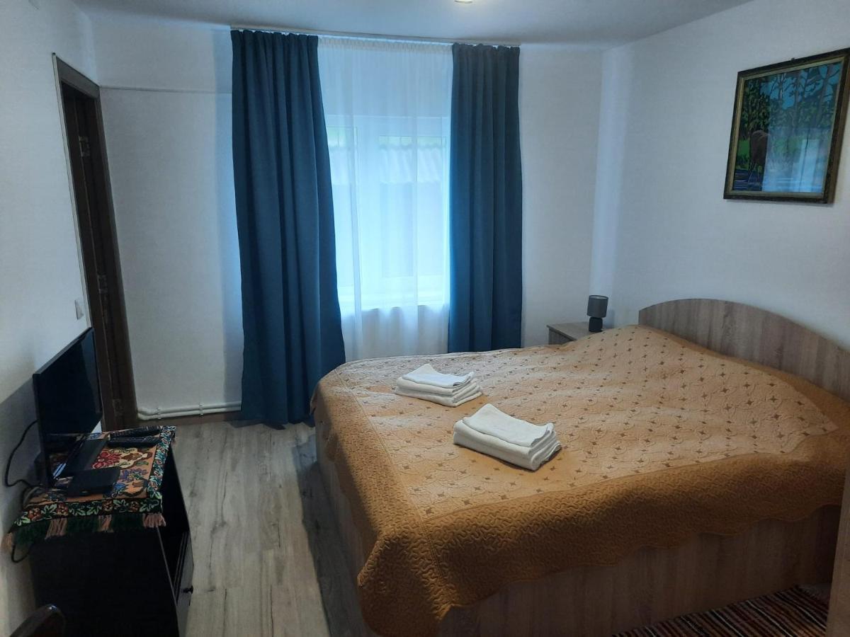 Casa Dumitru Si Elena Ciocanesti Bucovina Esterno foto
