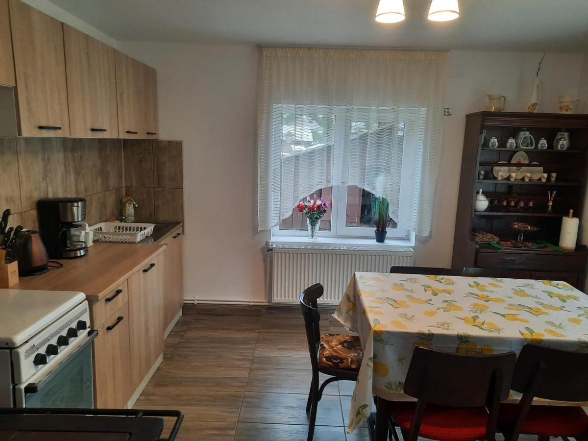 Casa Dumitru Si Elena Ciocanesti Bucovina Esterno foto