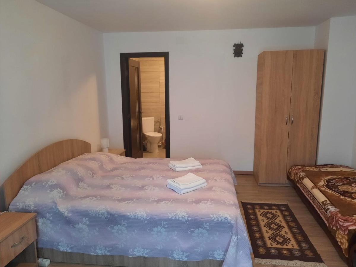 Casa Dumitru Si Elena Ciocanesti Bucovina Esterno foto