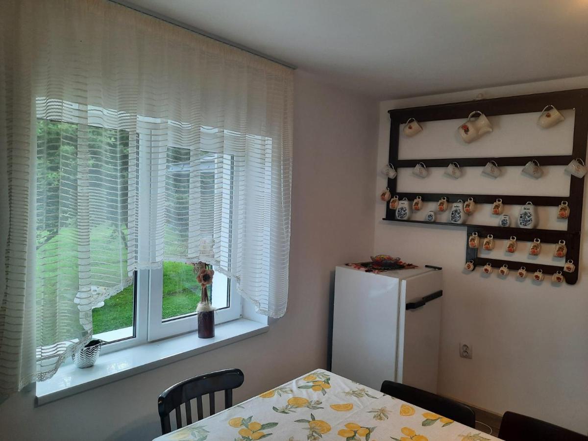 Casa Dumitru Si Elena Ciocanesti Bucovina Esterno foto