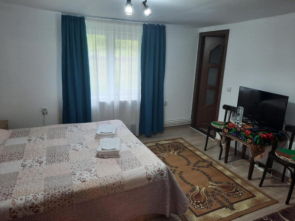 Casa Dumitru Si Elena Ciocanesti Bucovina Esterno foto