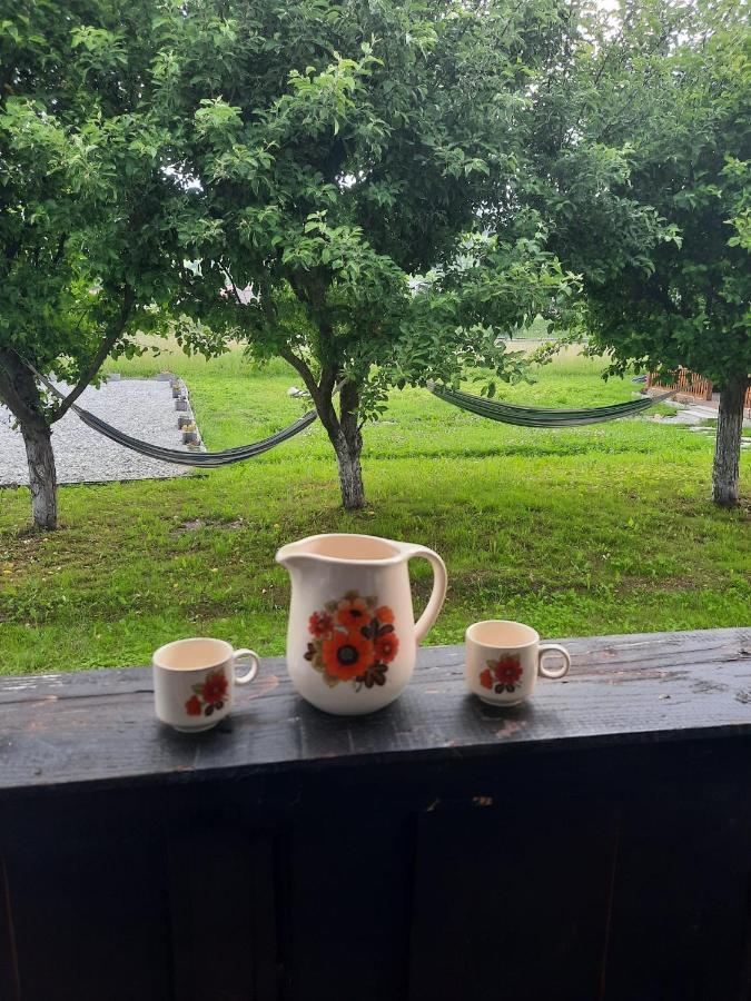 Casa Dumitru Si Elena Ciocanesti Bucovina Esterno foto