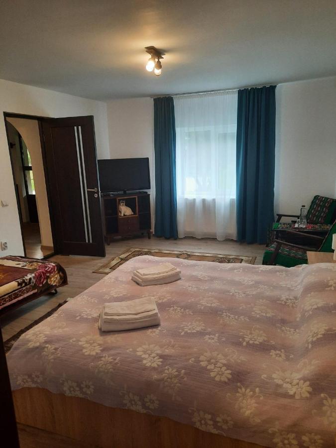 Casa Dumitru Si Elena Ciocanesti Bucovina Esterno foto