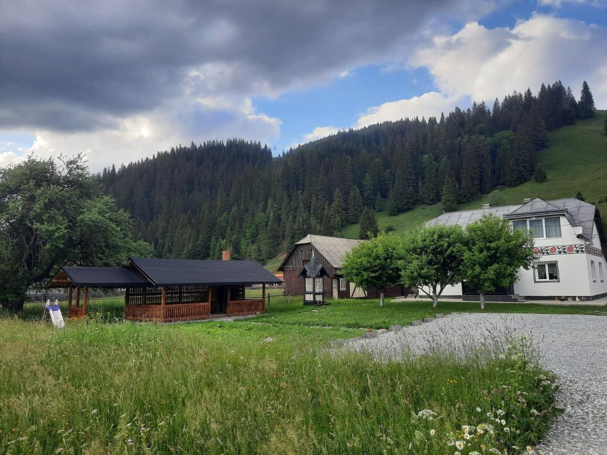 Casa Dumitru Si Elena Ciocanesti Bucovina Esterno foto