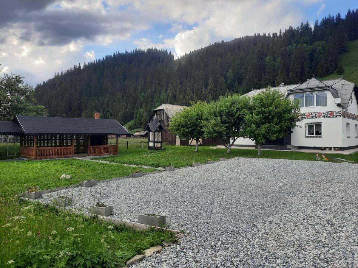 Casa Dumitru Si Elena Ciocanesti Bucovina Esterno foto