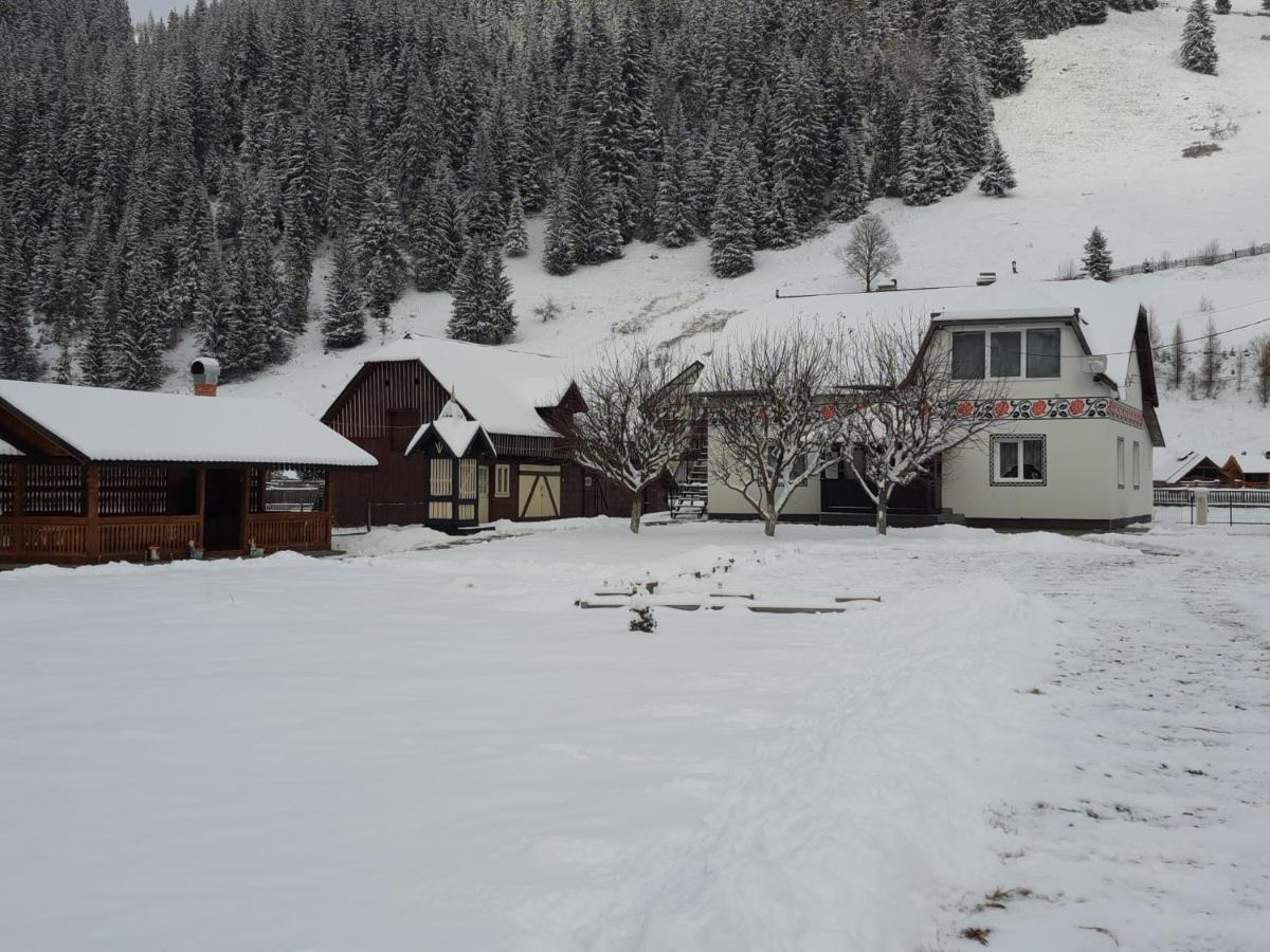 Casa Dumitru Si Elena Ciocanesti Bucovina Esterno foto