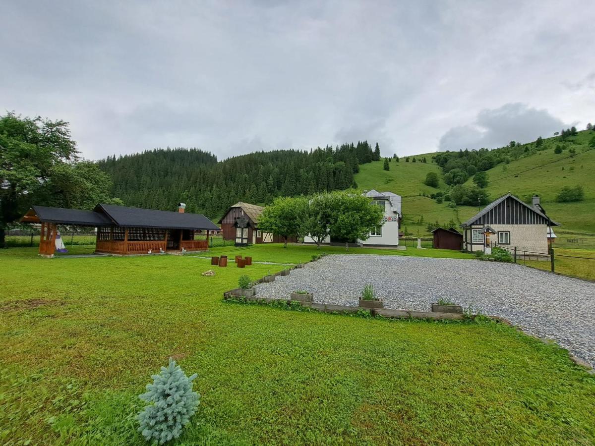 Casa Dumitru Si Elena Ciocanesti Bucovina Esterno foto